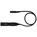 AKG MPA V L Phantom Power Adapter