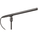 Audio Technica BP4071 Line & Gradient Condenser Microphone