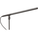 Audio Technica BP4071L Line & Gradient Condenser Microphone
