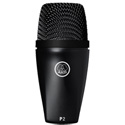 AKG P2 Dynamic Bass Microphone