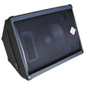 Nady PAM-10F Full-Range Two-Way PA or Stage Wedge Monitor