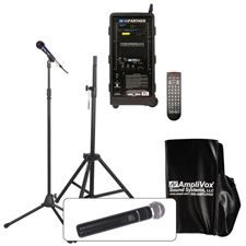 Basic Digital Audio Travel Partner Package