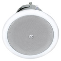 Atlas Sound FAP42T 4in 2-Way Weather Resistant Speaker System
