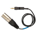 Sennheiser XLR Male Unbalanced Line Output to Mini Locking Cable