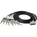 Canare Analog 25DB 25-Pin D-Sub to 8 TRS 1/4 Inch Male Multichannel Fanout Cables