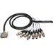 DB25 25-Pin D-Sub Male to 8 XLR Female Analog Multichannel Snake Cables Wired for Tascam
Canare Analog 25Pin DSub to 8 XLR Female