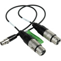 Cable Linking FP24 and FP33 Mixers 12 inches