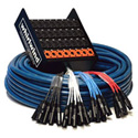 Whirlwind MS-24-8-XL-100 Audio Snake; 24 XLR Inputs; 8 XLR Returns; 100 ft.