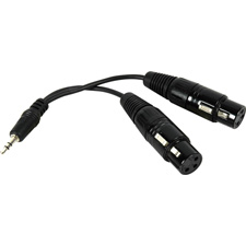 Y-MPS-2XF Stereo TRS 3.5mm Mini to Dual  XLR Female Y-Cable 6 Inch