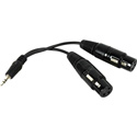 Y-MPS-2XF Stereo TRS 3.5mm Mini to Dual  XLR Female Y-Cable 6 Inch