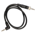 Sennheiser CL1 Line Output Cable for EK100G2 EK500G2 w1 to 8in Miniplug and EW