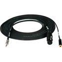 Sescom iPhone / iPod / iPad TRRS to XLR Mic & 3.5mm Monitoring Jack Cable 6 Foot