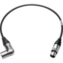 Audio Cable XLRP/RA - XLRJ 1.5ft.