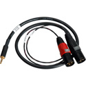 Sescom SES-IPOD-XLRM03 3.5mm Mini Stereo Plug to Dual XLR-M Plugs 3 Ft
