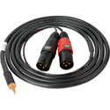 Sescom SES-IPOD-XLRM06 3.5mm Mini Stereo Plug to Dual XLR-M Plugs 6 Ft