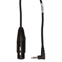 TecNec Pro XLR Mic To 3.5mm Mini Cables for DV Cameras