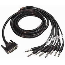 Whirlwind DBMS-010 DB25 Male to 8 Male TRS Plugs; 10 Ft.
