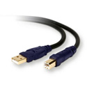 Belkin F3U133-06-GLD USB 2.0 Cable