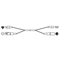 Pro Co EC9-50 Siamese Twins Audio/Power Cable; 50 Ft.