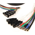 4 BNC Video S-Video and 4 XLR Audio Snake