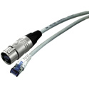Neutrik NKE6S-3-WOC Patch Cable- Preassembled with CAT6 etherCON On One Side and Standard RJ45 on the Other; 3M
