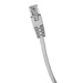 Molded Cat6 UTP Patch Cables 24AWG 50u 3 Foot