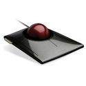 Kensington K72327US SlimBlade Trackball Mouse