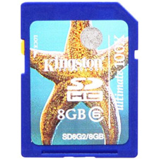 Kingston Technology SD6G2/8GB Secure Digital High-Capacity Card (Class 6) 15MB/sec 100x Write; 8GB