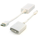 Mini DisplayPort to DVI-D Adapter for MacBook and MacBook Air