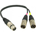 Sennheiser ACS5 5 pin XLR to Dual 3 Pin XLR Adapter; 6 in. Length