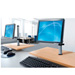 Peerless LCT-A1B5 Desktop LCD Mount for 15 to 24 Inch Monitors