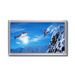 LG RU-42PX10C 42 Inch 16:9 Plasma EDTV Monitor with WVGA Resolution