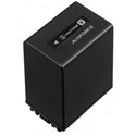 Sony InfoLithium NP-FV100 Photo Battery