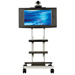 Avteq RPS-400 Rollabout Stand for One 20 to 42 Inch Plasma or LCD Display