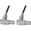 RS422 Command Cables - Lemo Right Angle10-Pin Male to Right Angle 10-Pin Male