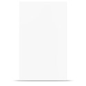10x24ft Washable  Muslin Background-White
