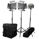 ikan IDK2115 Large Location Light Kit