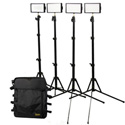 ikan IDK4312 Standard Interview Light Kit