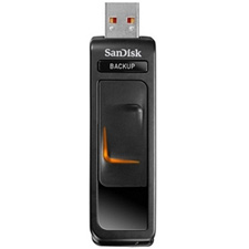 SanDisk 64GB Ultra Backup USB 2.0 Flash Drive