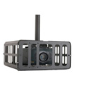 Chief PG1A Large Projector Security Cage