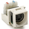 S Video to 110 Punchdown Insert Keystone Modules