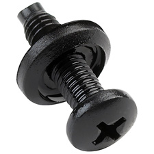 Raxxess PTSW-100 100 Phillips 10/32 Rack Screws & Washers