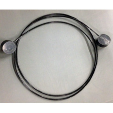 Coiled Security System