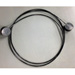 Coiled Security System