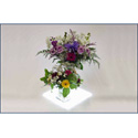 Rosco LitePad DL 3in x 3in Daylight Slim Profile Light