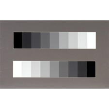 GSHD 9 Step 16:9 HDTV Grey Scale Chart - 12in x 19in