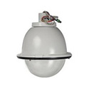 Sony EVIID8C1 Indoor Pendant Mount Clear Dome Housing