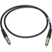 SPDIF RCA Male to Male Digital Audio Cable (10 ft.)