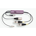 Miranda ASD-771p Picolink 75 & 110 ohm  Analog to AES Audio Converters