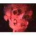 UA HoloSkull